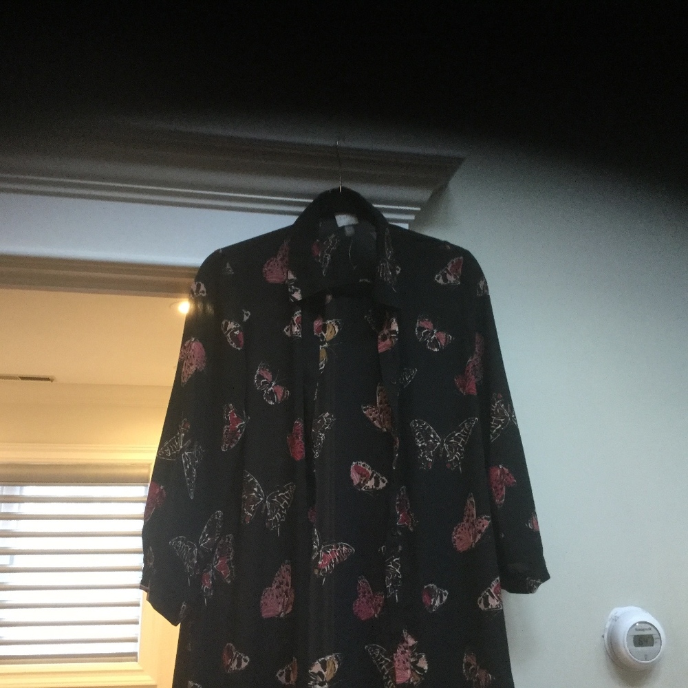 Long sheer shirt